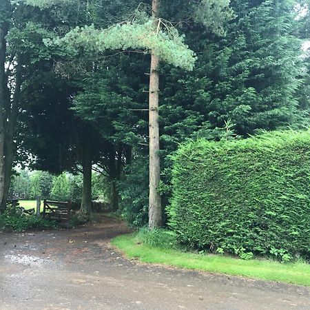 The Stables Near Glasgow Balmore المظهر الخارجي الصورة